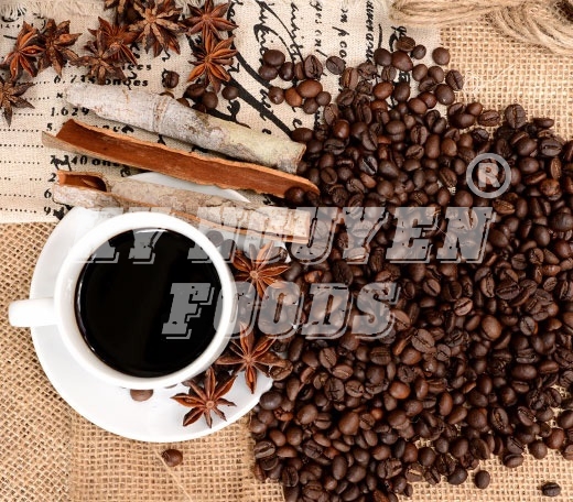 6 loại hạt cà phê phổ biến hiện nay, loại nào ngon nhất?