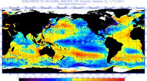 El Nino ảnh hưởng thế nào đến giá cà phê?