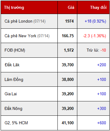 Giá cà phê trong nước ngày 19/06 tăng 100 - 300 ngàn đồng/ tấn