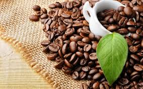 Kinh doanh cà phê tạm trữ, không dễ…