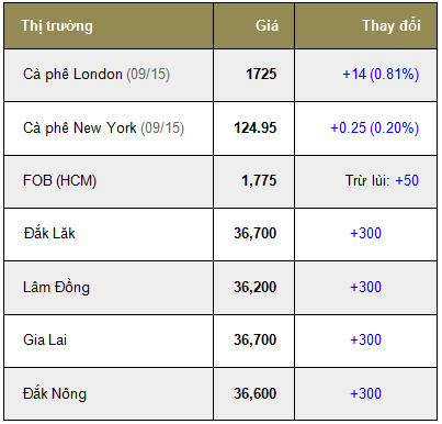 Giá cà phê trong nước ngày 09/07/2015 tăng trở lại 300 ngàn đồng/tấn