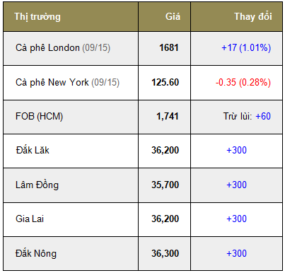 Giá cà phê trong nước ngày 23/07/2015 tăng trở lại 300 ngàn đồng/tấn