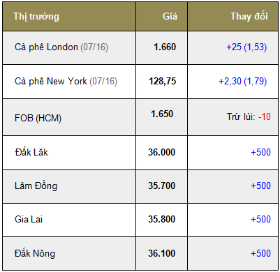 Giá cà phê trong nước ngày 11/05/2016 tăng mạnh 500 ngàn đồng/tấn