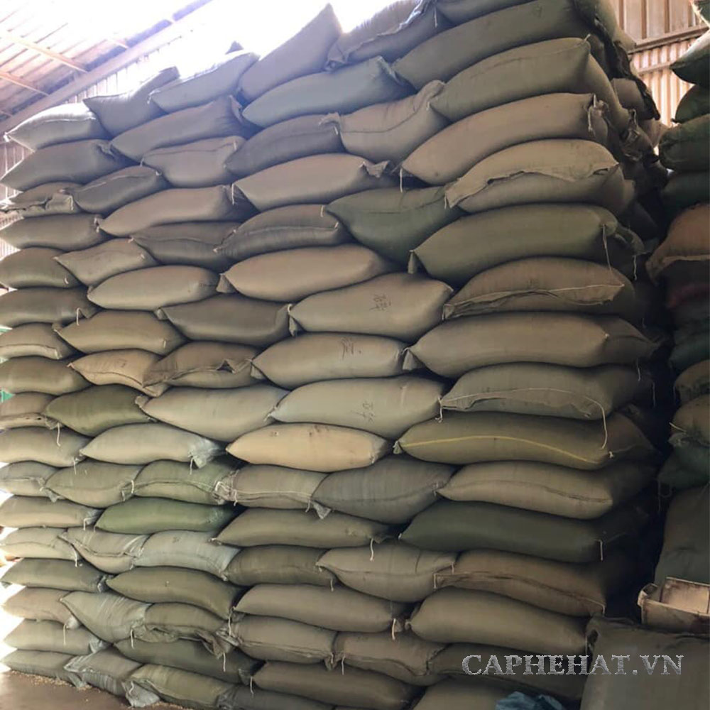 CÀ PHÊ ARABICA THƯỢNG HẠNG| KAFI NGUYÊN HẠT| 2 GÓI x 250G