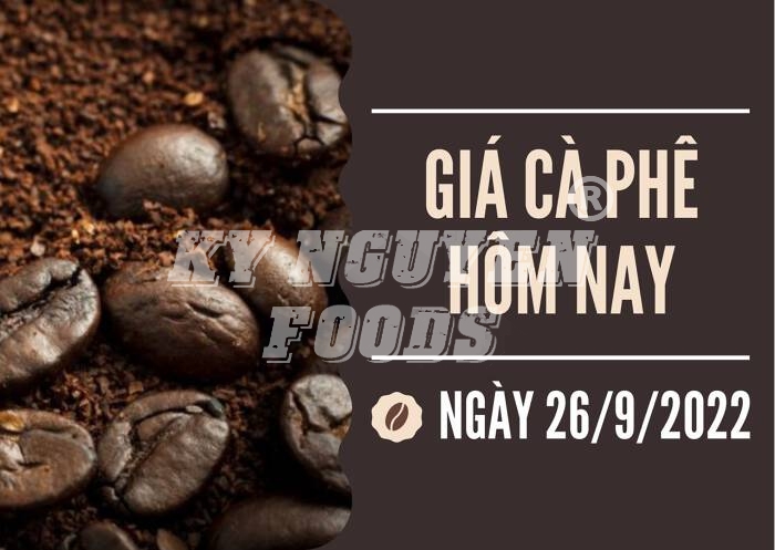 Giá cà phê hôm nay 26/9: Ổn định tại các tỉnh Tây Nguyên